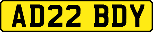 AD22BDY