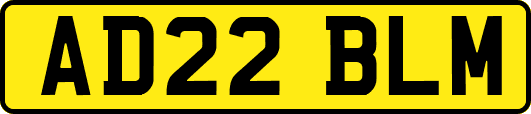 AD22BLM