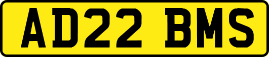 AD22BMS