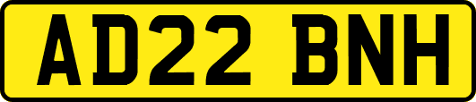 AD22BNH