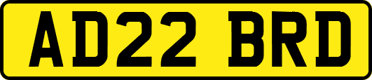 AD22BRD