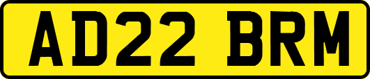 AD22BRM