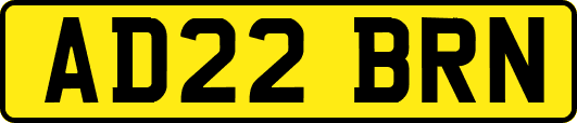 AD22BRN