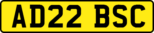 AD22BSC