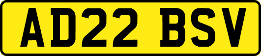AD22BSV