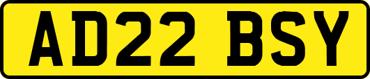 AD22BSY