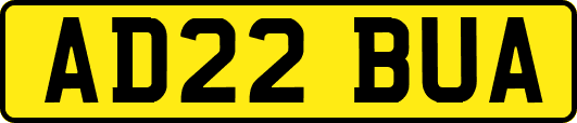 AD22BUA