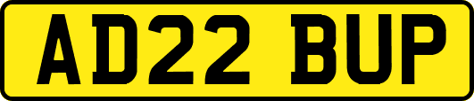 AD22BUP