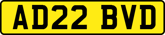 AD22BVD
