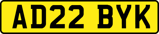 AD22BYK