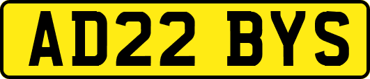 AD22BYS