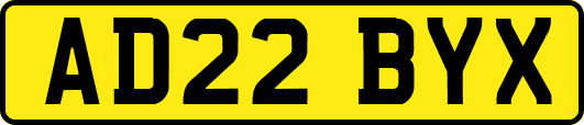 AD22BYX