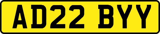 AD22BYY