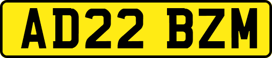 AD22BZM