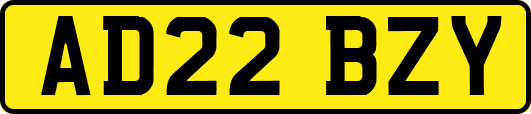 AD22BZY