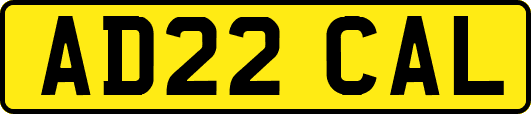 AD22CAL