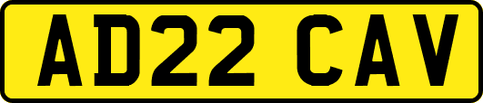 AD22CAV