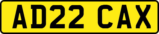 AD22CAX