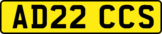 AD22CCS