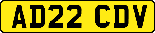 AD22CDV