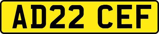 AD22CEF