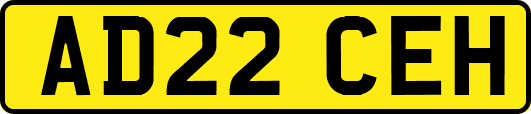 AD22CEH