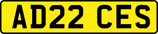 AD22CES