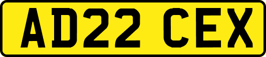 AD22CEX