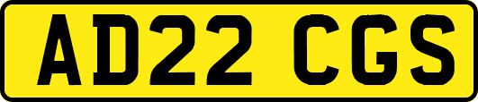 AD22CGS