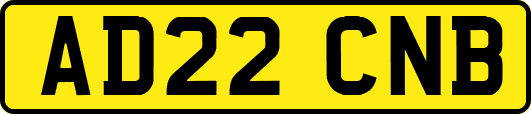 AD22CNB