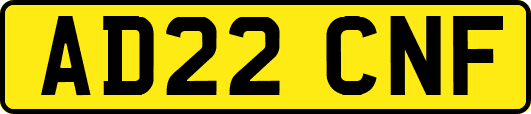 AD22CNF