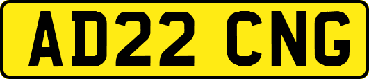 AD22CNG