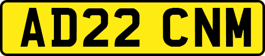 AD22CNM