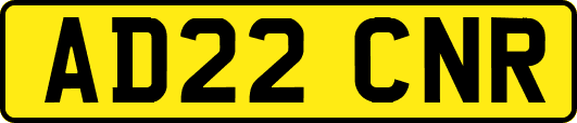 AD22CNR