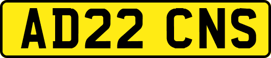 AD22CNS