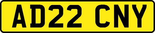 AD22CNY