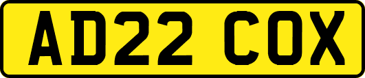 AD22COX