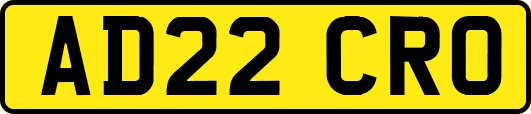 AD22CRO