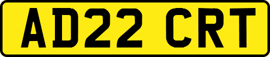 AD22CRT