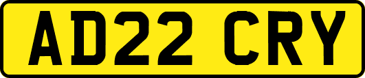 AD22CRY