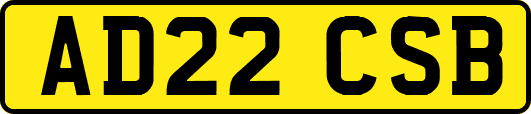 AD22CSB
