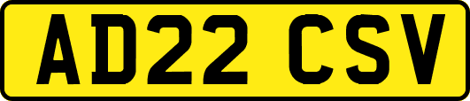 AD22CSV