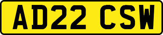 AD22CSW