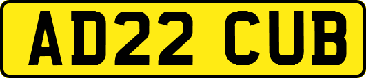 AD22CUB