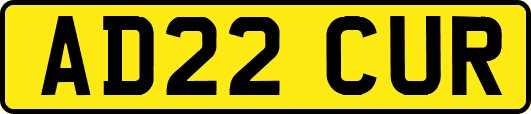 AD22CUR