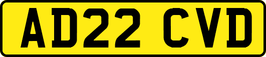 AD22CVD