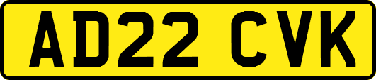 AD22CVK