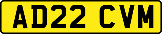 AD22CVM