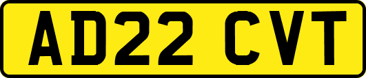 AD22CVT