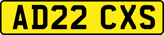 AD22CXS